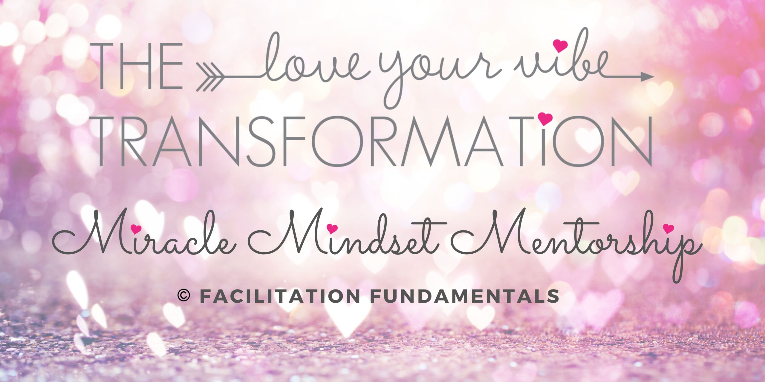 The Love Your VIbe Transformation Miracle Mindset Mentorship Facilitation Fundamentals
